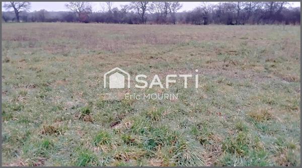 Jolie étang avec un grand terrain.