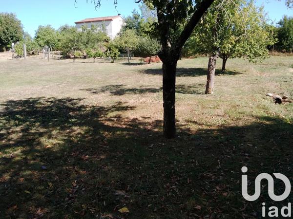 Terrain à vendre 1 237 m² Puylaurens