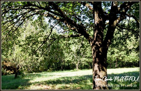 Villa T5 120 m2 3 chambres terrain arboré 9600 m2 -11400