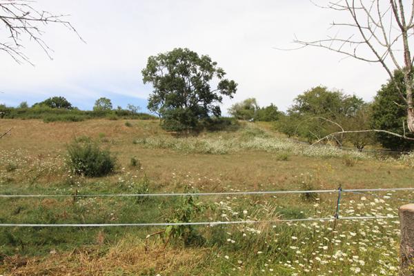 CHOUZY SUR CISSE - 10 KMS DE BLOIS - 25 KMS D AMBOISE