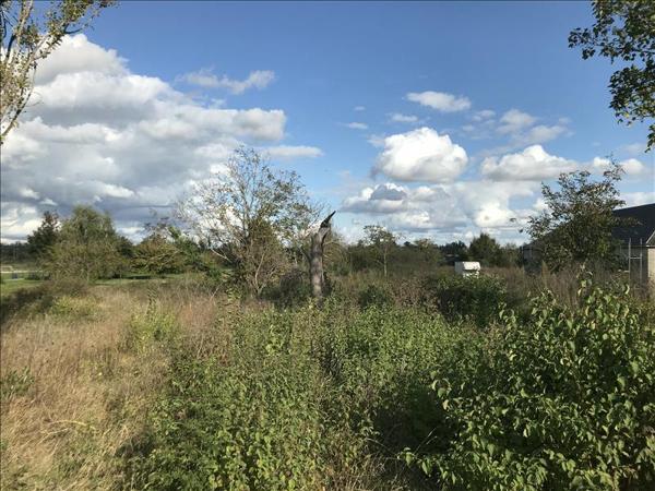 Terrain à vendre |  Mehun-sur-Yèvre |  1630 m²