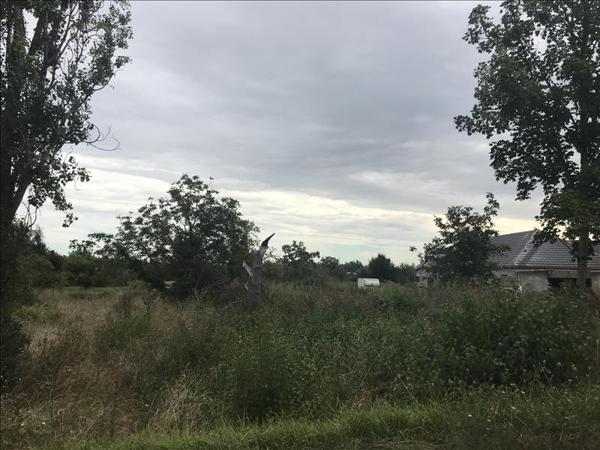 Terrain à vendre |  Mehun-sur-Yèvre |  1630 m²