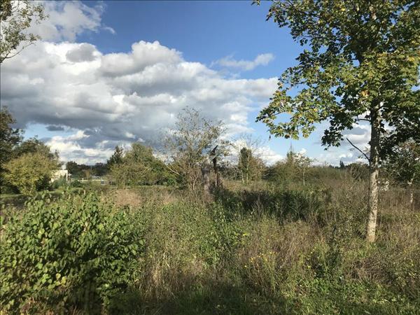 Terrain à vendre |  Mehun-sur-Yèvre |  1630 m²