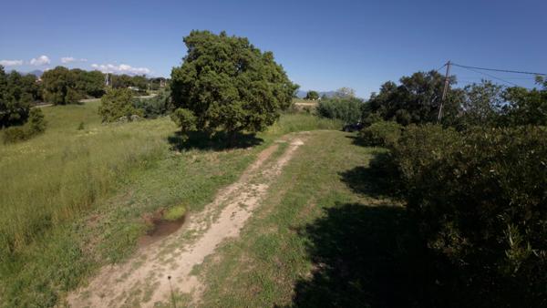 Terrain à vendre de 1 490,00 m² ALERIA (20), Un cadre idéal pour bâtir votre maison de famille en Corse...
