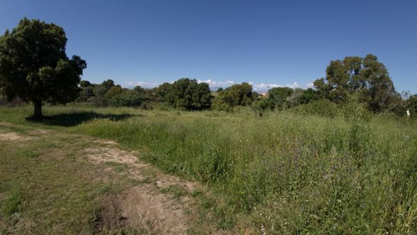 Terrain à vendre de 1 490,00 m² ALERIA (20), Un cadre idéal pour bâtir votre maison de famille en Corse...