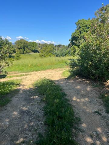 Terrain à vendre de 1 490,00 m² ALERIA (20), Un cadre idéal pour bâtir votre maison de famille en Corse...