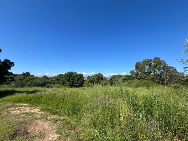 Terrain à vendre de 1 490,00 m² ALERIA (20), Un cadre idéal pour bâtir votre maison de famille en Corse...