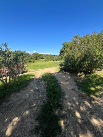 Terrain à vendre de 1 490,00 m² ALERIA (20), Un cadre idéal pour bâtir votre maison de famille en Corse...