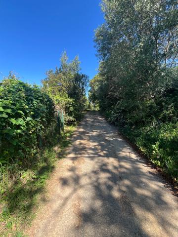 Terrain à vendre de 1 490,00 m² ALERIA (20), Un cadre idéal pour bâtir votre maison de famille en Corse...