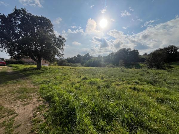 Terrain à vendre de 1 490,00 m² ALERIA (20), Un cadre idéal pour bâtir votre maison de famille en Corse...