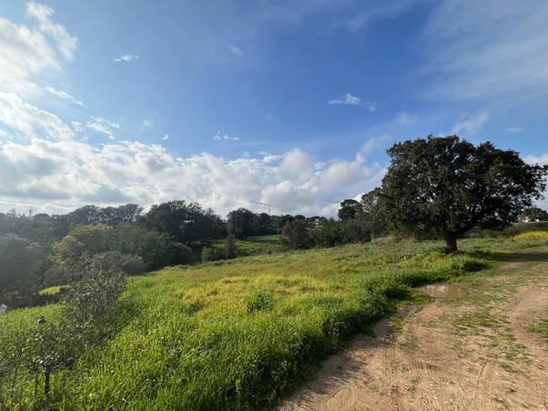 Terrain à vendre de 1 490,00 m² ALERIA (20), Un cadre idéal pour bâtir votre maison de famille en Corse...