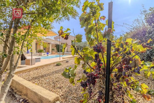 A SAISIR Propriété St Didier 84210 PLAIN PIED 8 pièce(s) 160 m2 avec piscine