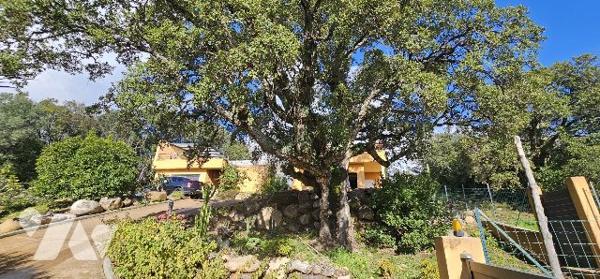 Magnifique villa sans vis à vis - Porto Vecchio