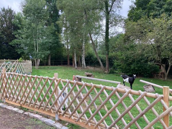 Belle Maison lumineuse de 138 M2 en bon état pas de travaux à prévoir sur un terrain de 6200 M2 à 12mn de pont L'Evêque