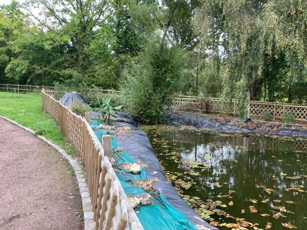 Belle Maison lumineuse de 138 M2 en bon état pas de travaux à prévoir sur un terrain de 6200 M2 à 12mn de pont L'Evêque