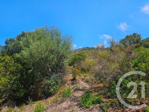 Appartement Studio à vendre  1 pièce - 25 m2 OLETTA - 202