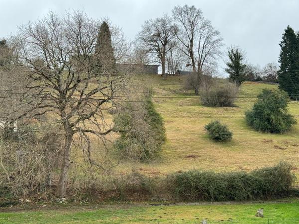 Maison à Oloron Sainte Marie avec jardin & garage