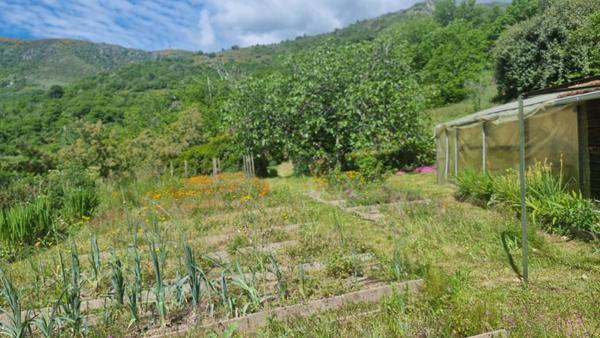 Maison de hameau en pierre au calme