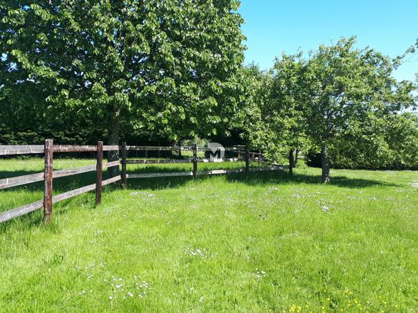 Maison - Vendu - 136 m² - PARNE-SUR-ROC | The Door Man