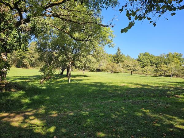 Vente / Maison en pierre