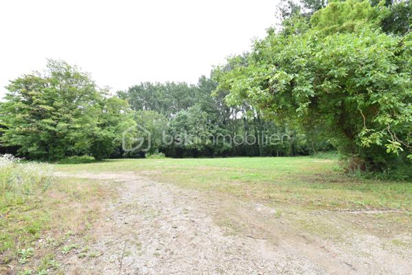 Local d activites de 2 600 m²