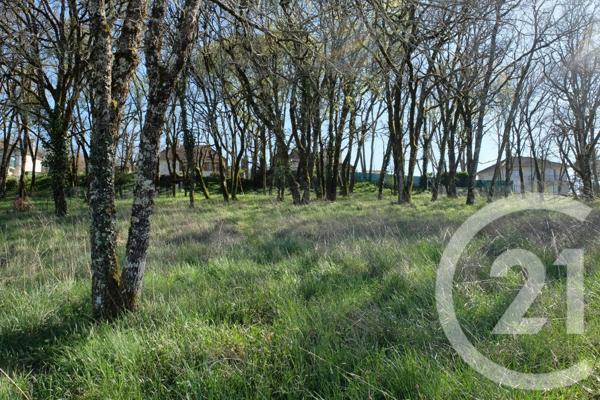 Terrain à vendre  1710 m2 MARTEL - 46
