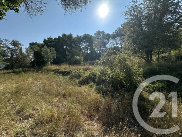 Terrain à vendre  2433 m 2   MOUGINS  - 06