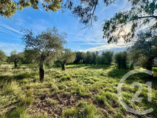 Terrain à vendre  2433 m 2   MOUGINS  - 06