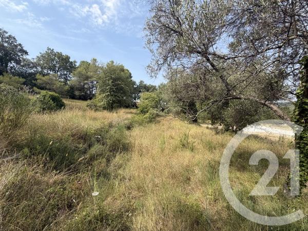 Terrain à vendre  2433 m 2   MOUGINS  - 06