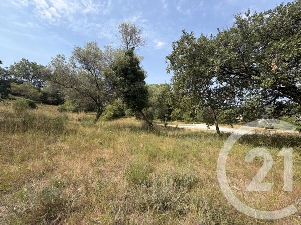 Terrain à vendre  2433 m 2   MOUGINS  - 06