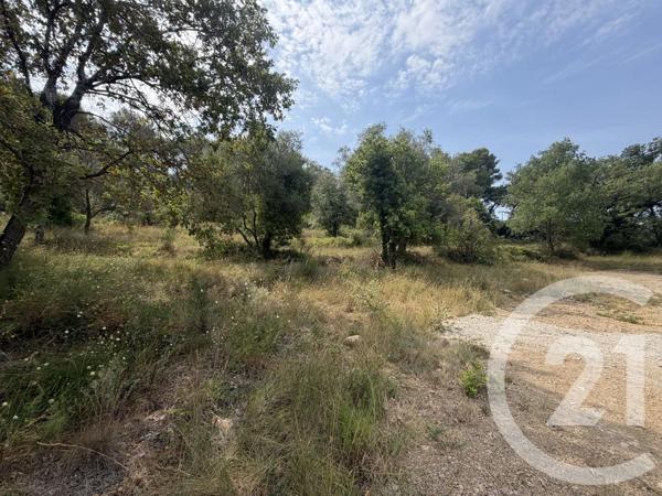 Terrain à vendre  2433 m 2   MOUGINS  - 06