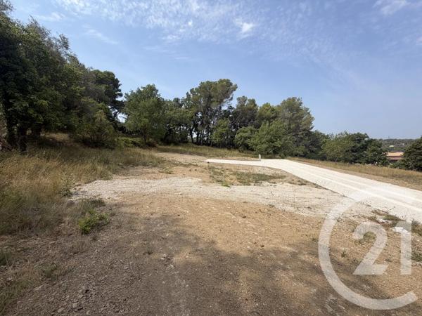 Terrain à vendre  2433 m 2   MOUGINS  - 06