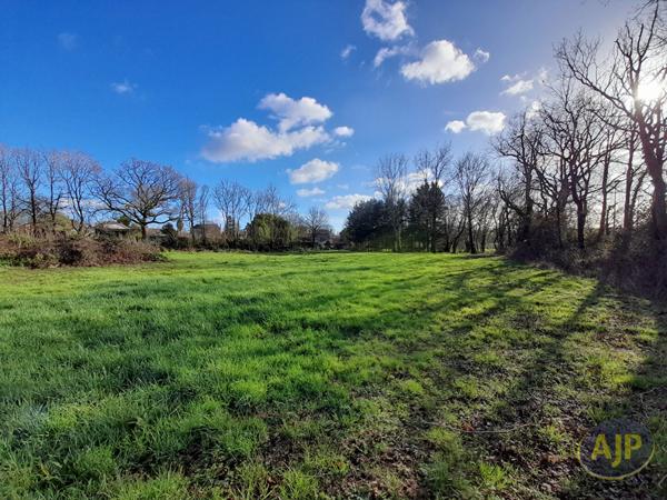 Vente terrain Le Champ Saint Pere : 138 345 € - AJP Immobilier Luçon