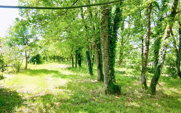 Maison à vendre    4 pièces •  Saint-Antonin-Noble-Val