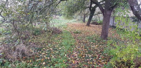 Terrain à Batir à vendre à Novy-Chevrières dans les Ardennes (08300), ref : 10315/368