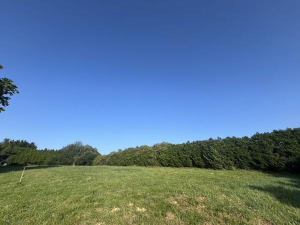 Terrain à vendre |  Salies-de-Béarn |  1300 m²