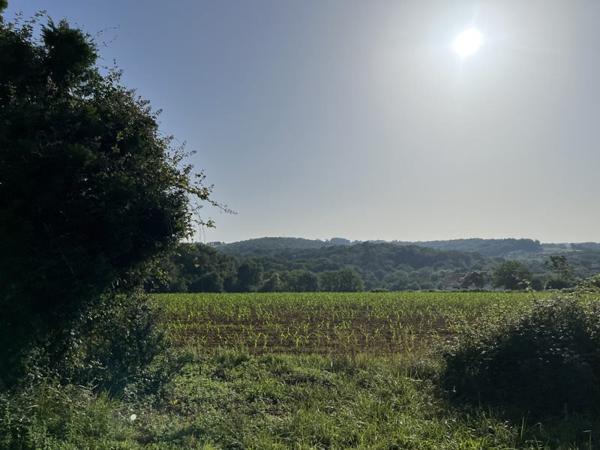 Terrain à vendre |  Salies-de-Béarn |  1300 m²