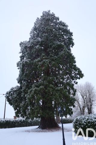 Maison à vendre 7 pièces 273 m² Pargny-sur-Saulx