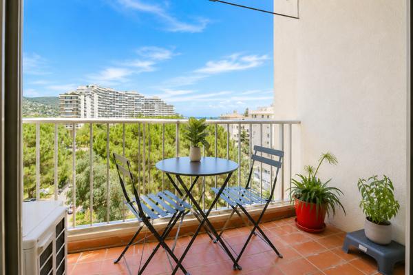 Appartement Mandelieu La Napoule 1 pièce(s) 20 m2