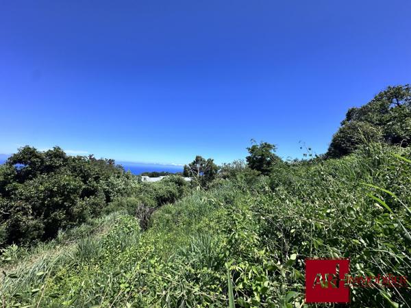 TERRAIN A BATIR