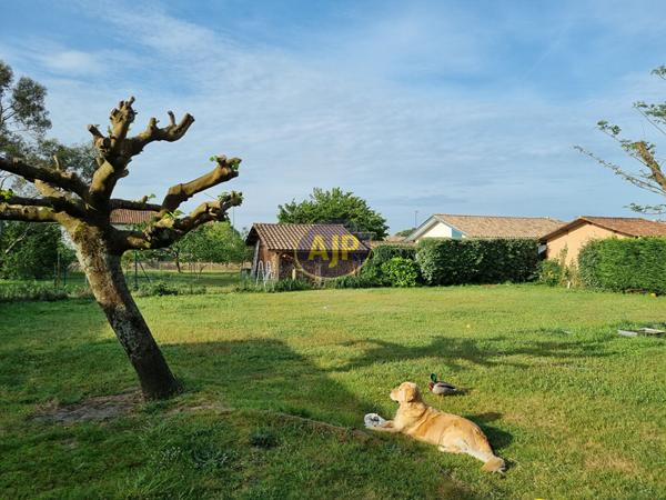 Location maison Benesse Maremne : 1 318 € - AJP Horizons Capbreton
