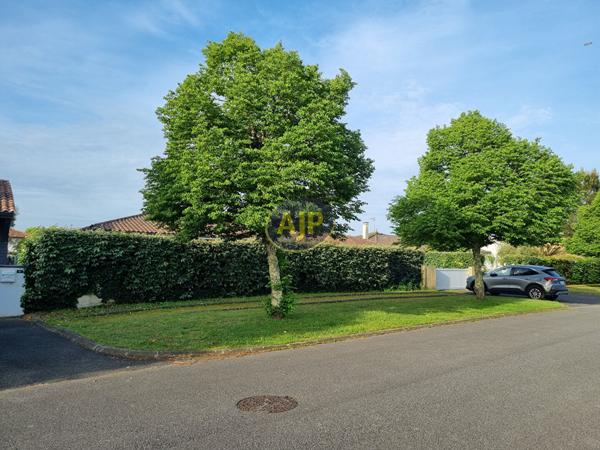 Location maison Benesse Maremne : 1 318 € - AJP Horizons Capbreton