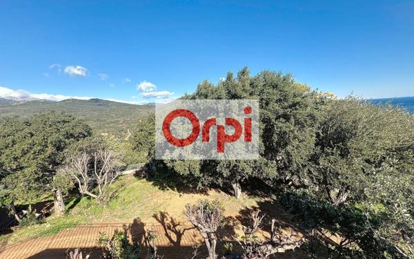 Maison à vendre    5 pièces •  Zonza