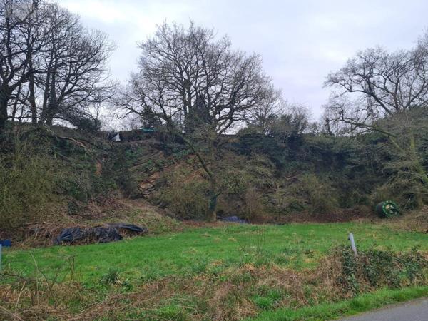 Terrain à Batir à vendre à Rohan dans le Morbihan (56580), ref : 56053-2355