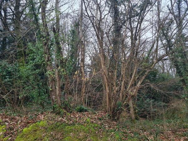 Terrain à Batir à vendre à Rohan dans le Morbihan (56580), ref : 56053-2355