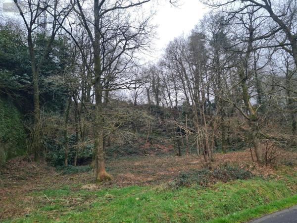 Terrain à Batir à vendre à Rohan dans le Morbihan (56580), ref : 56053-2355