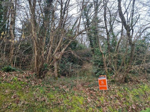 Terrain à Batir à vendre à Rohan dans le Morbihan (56580), ref : 56053-2355