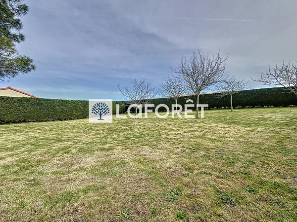 Achat terrain Saint-Amand-sur-Sèvre - 570 m² - 34 740 €