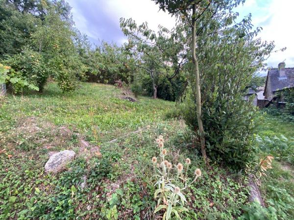 Maison rurale à vendre à Andouillé en Mayenne (53240), ref : 53047/136