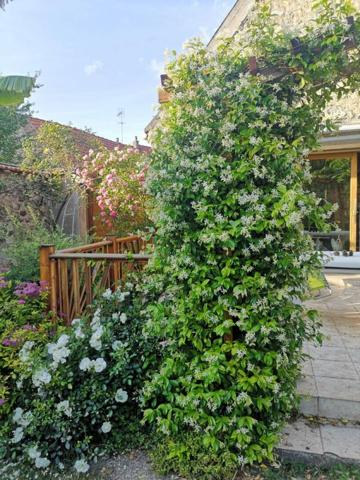 Maison Saint Michel Sur Orge 6 pièces 105 m²